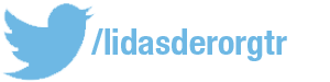 lidasder-twitter